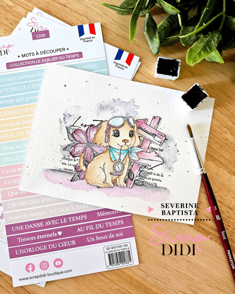Carte - Pilote du temps