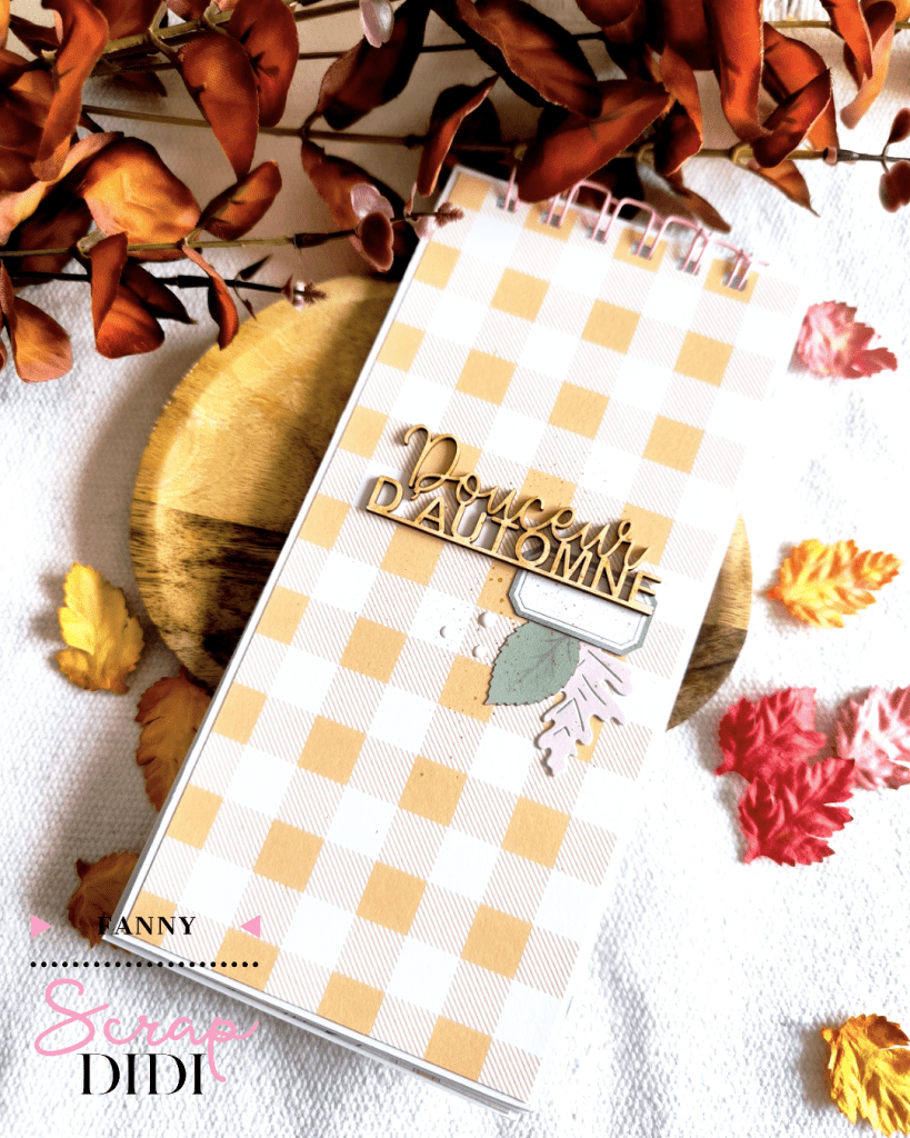 Mini-album scrapbooking