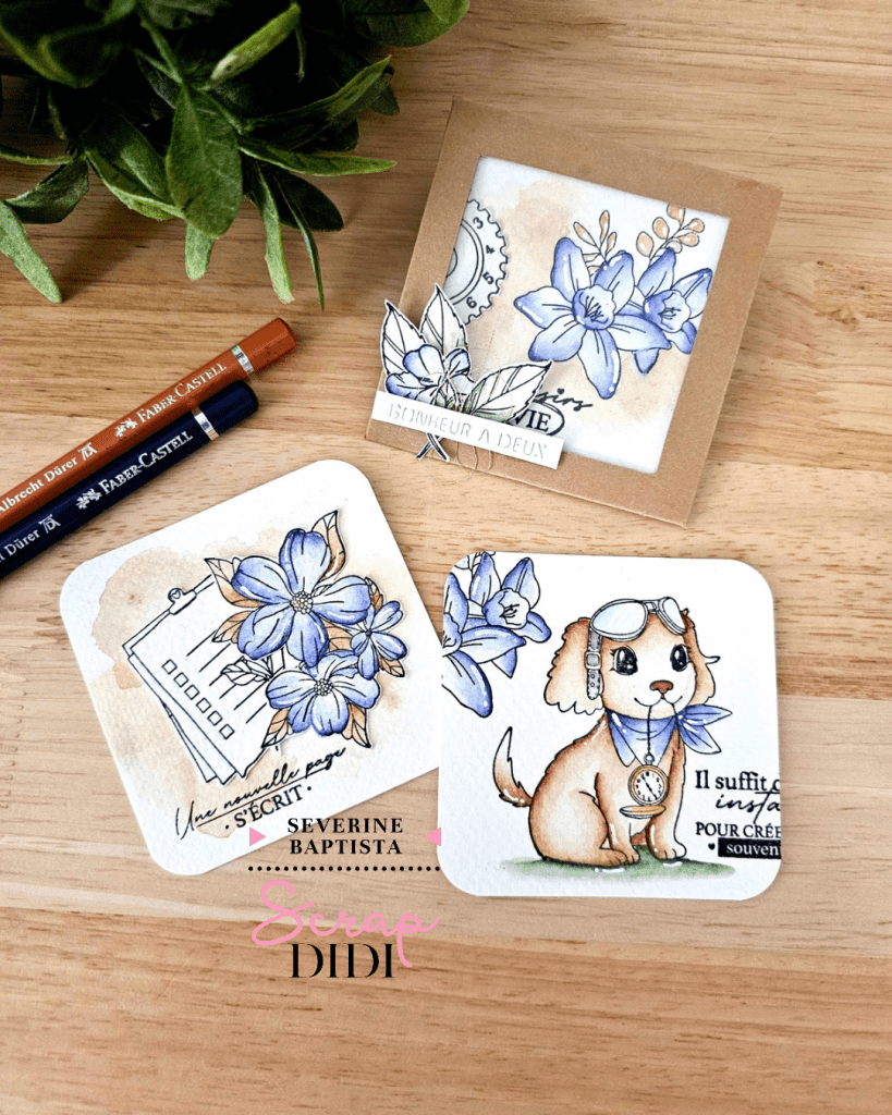 Pochette Cadeau pour Inkboxcards
