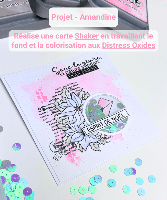 Make & Take - Nuances de Scrap - Gosselies