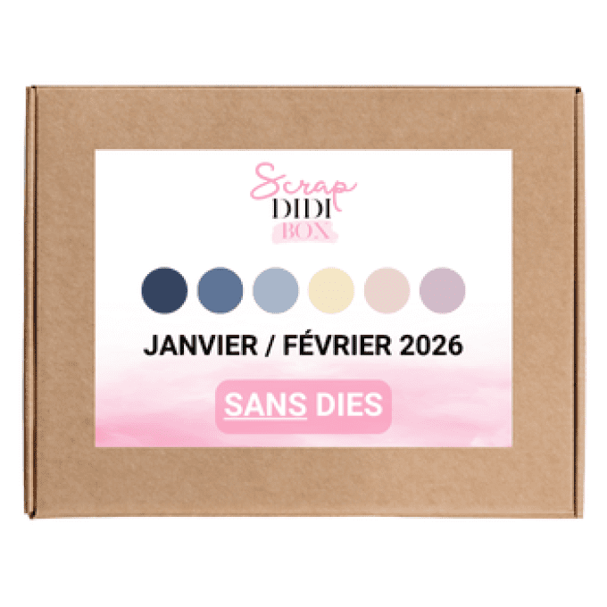 [Une nuit étoilée] Scrap Didi BOX - Janvier / Février 2026 - SANS dies