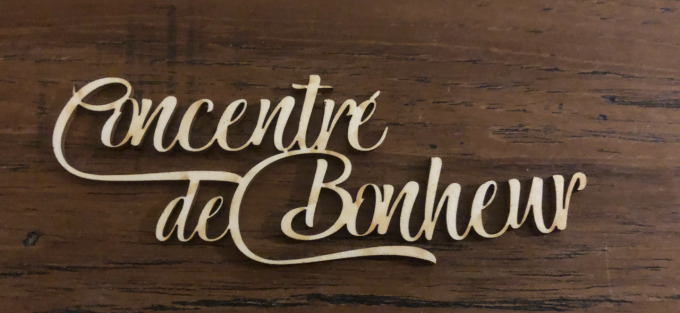 Concentré de bonheur - Mot chipboard adhésif