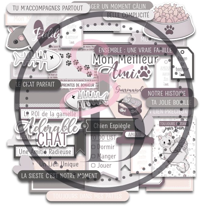 Coffrets compagnons - Chat