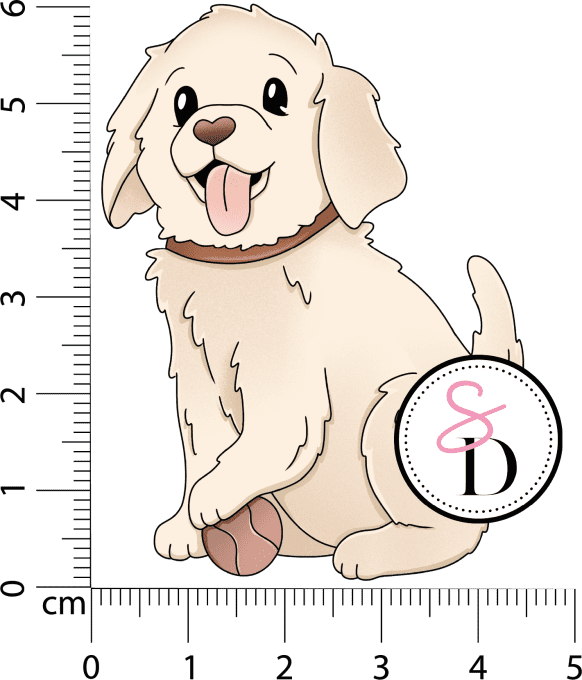 Coffrets compagnons - Chien