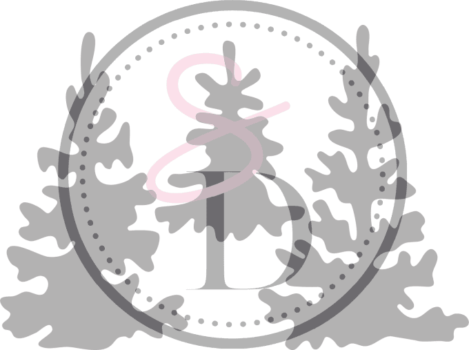 Dies - Trio de Sapins - Douceurs d'hiver