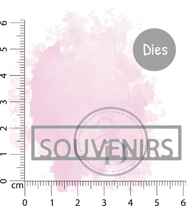 DIE - Encadré SOUVENIRS