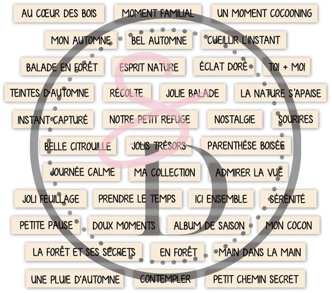 Embellissements en carton bois – Au cœur de la forêt