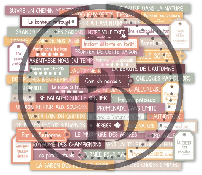 Les Jolies Phrases #1 – Au cœur de la forêt