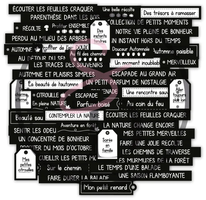 Les Jolies Phrases #2 – Au cœur de la forêt