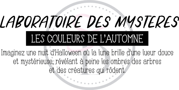 Tampon caoutchouc Laboratoire des mystères - La magie d'Halloween 