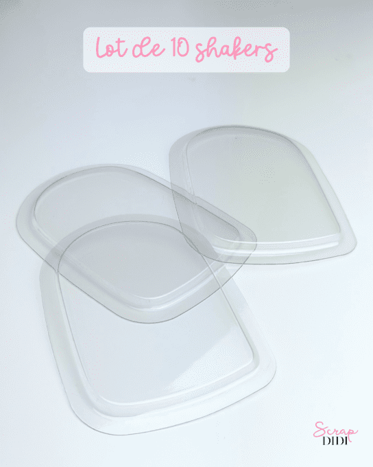 Shakers BOULE A NEIGE – Lot de 10 coques