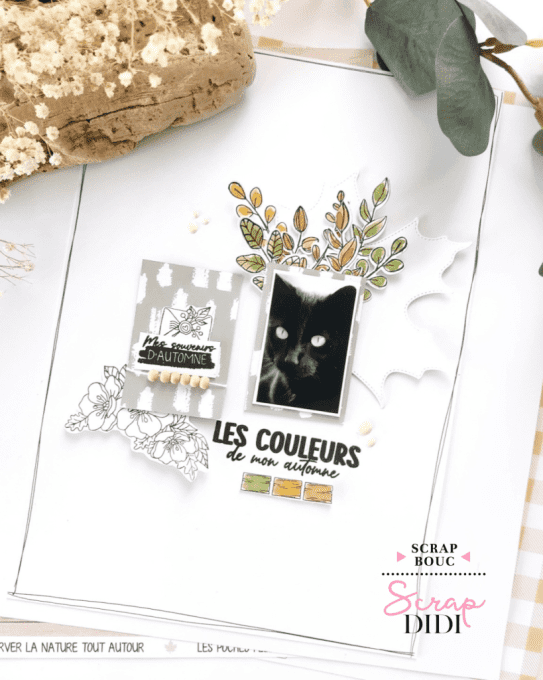 Duo Clear & Die - Mon Jardin Sauvage – Au cœur de la forêt