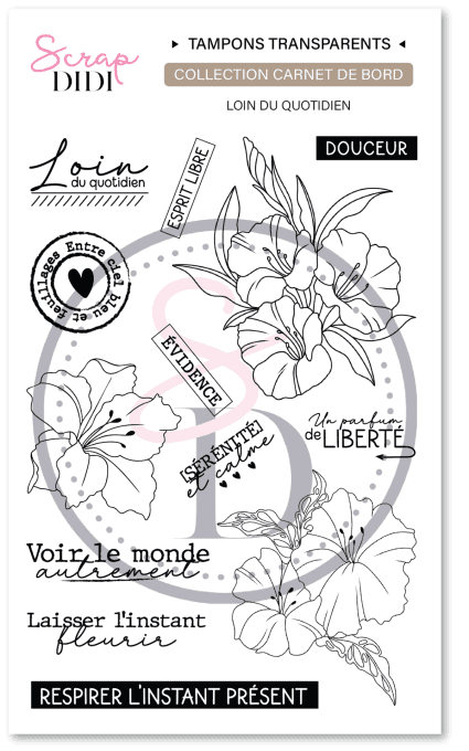 Clear A6 - LOIN DU QUOTIDIEN - Carnet de Bord