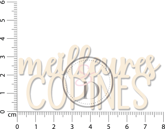 Coffret Entre Copines | Scrapbooking Amitié & Souvenirs