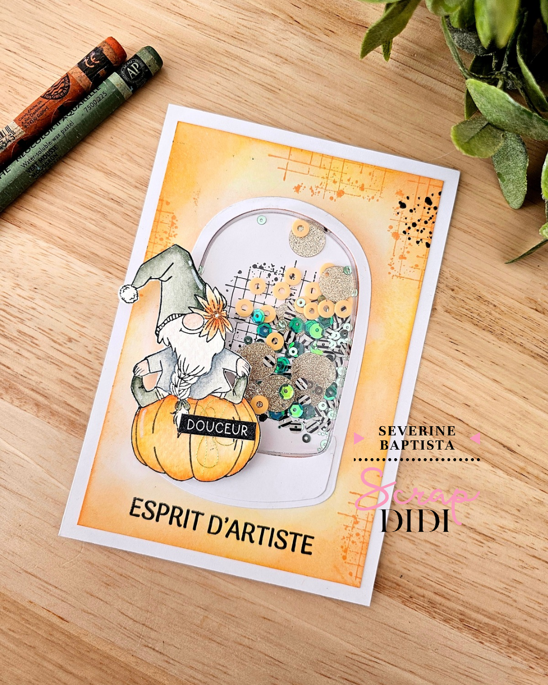 Carte shaker gnome en scrapbooking avec sequins et fenêtre transparente